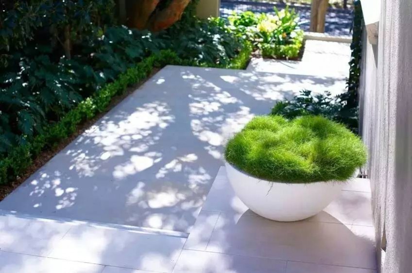 1677133690197131.jpg 1677133690197131.jpg