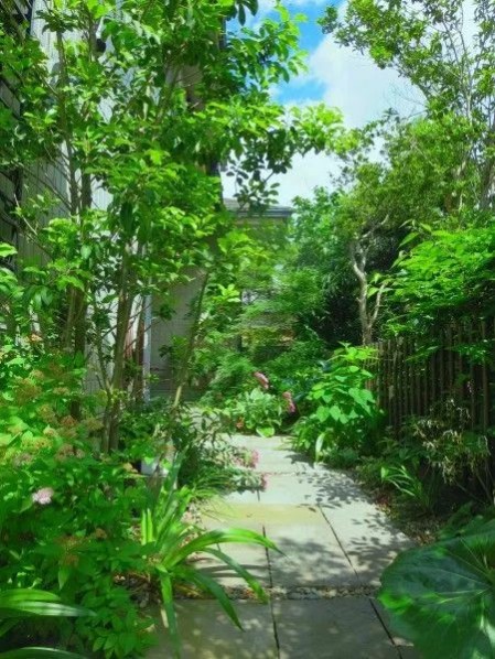 1681111963150525.jpg 1681111963150525.jpg