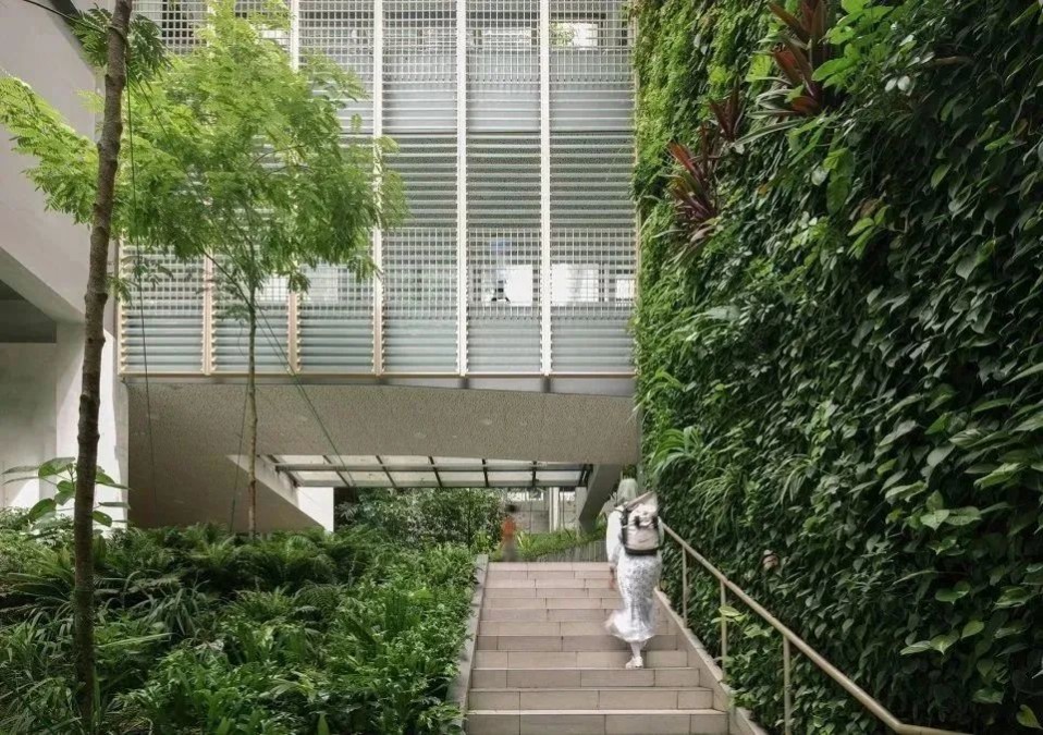 1688348679273268.jpg 1688348679273268.jpg