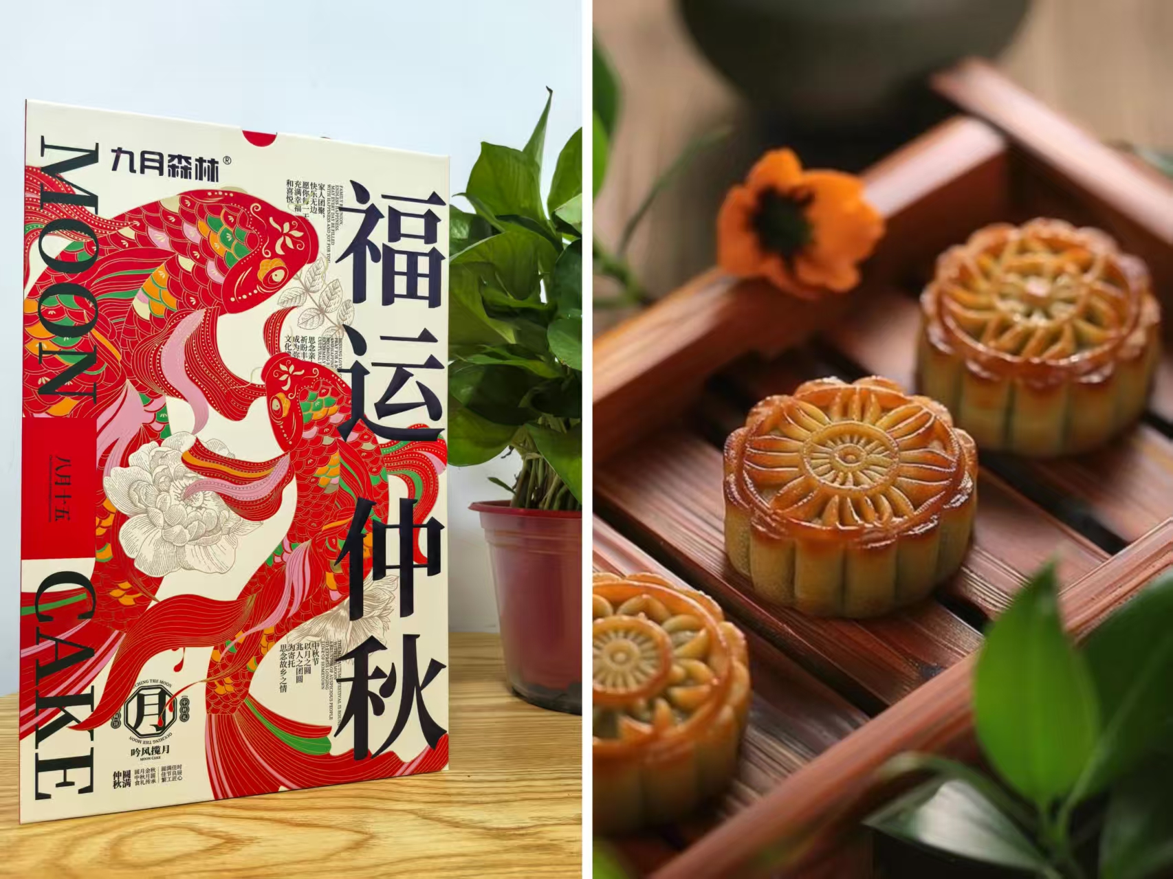 1759198230373556.jpg 1759198230373556.jpg